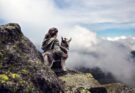 5 Steps to Bringing Your Dog on an Offroad Adventure