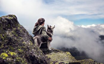 Dog on an Offroad Adventure