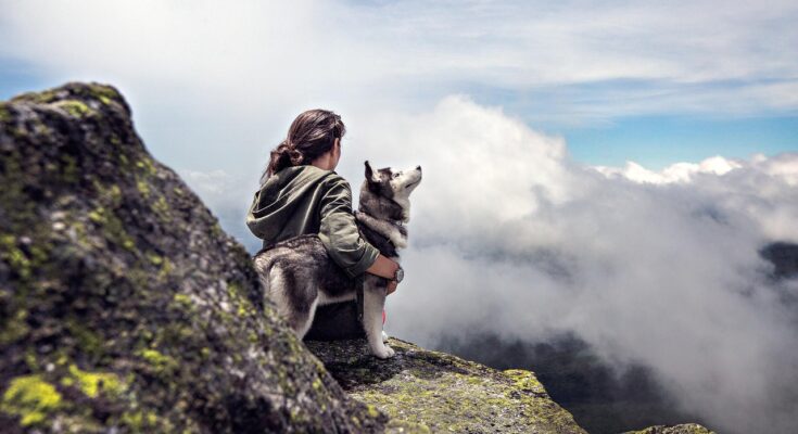 Dog on an Offroad Adventure